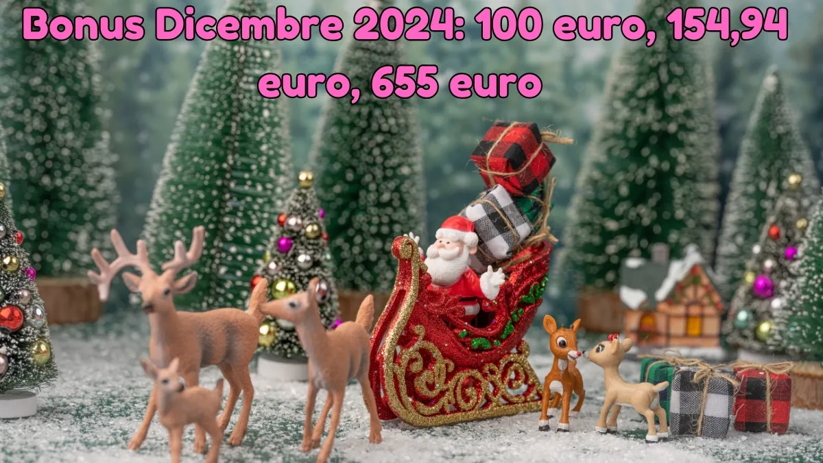 Bonus Dicembre 2024: 100 euro, 200 euro, 154,94 euro, 655 euro